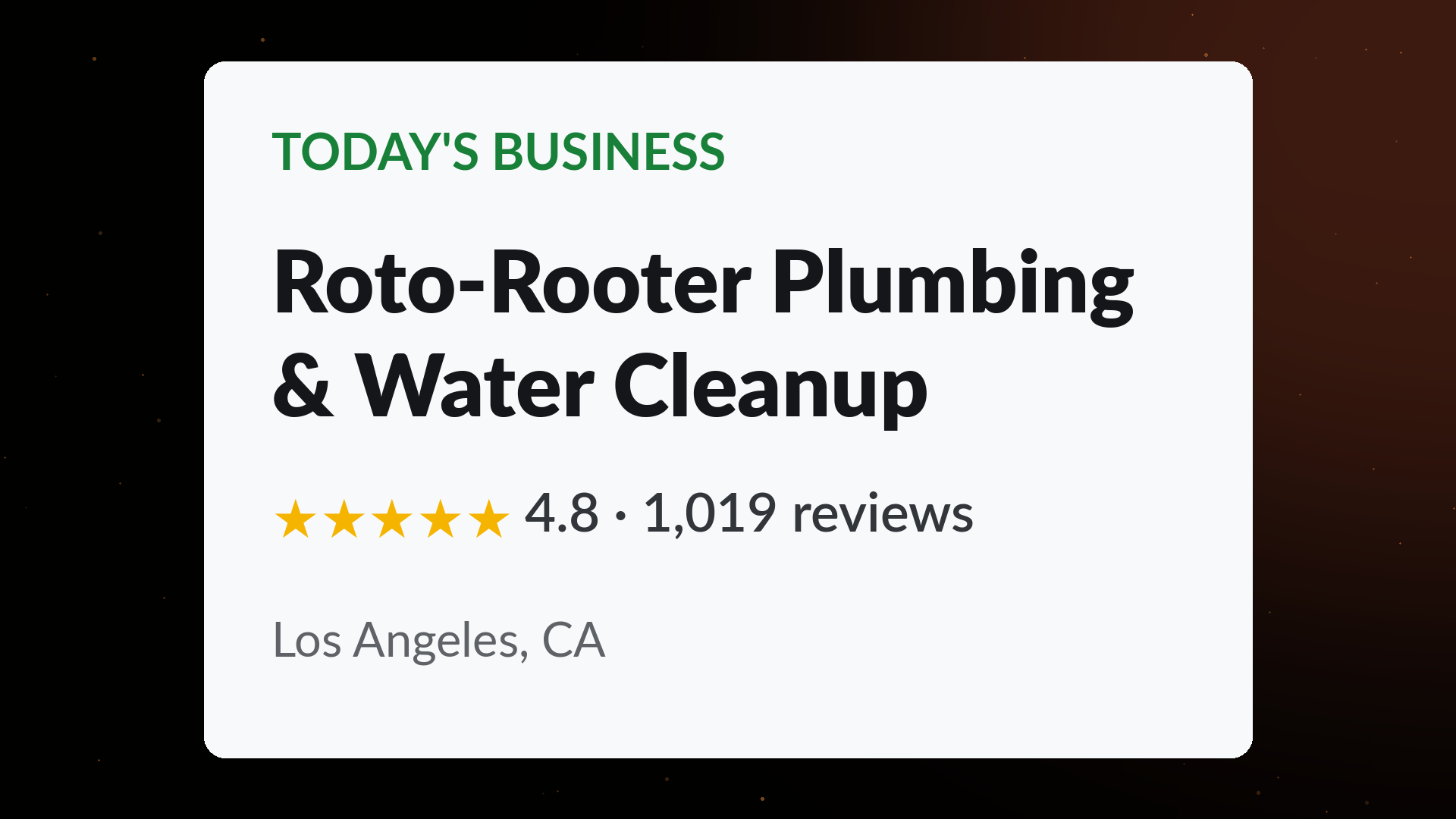 Roto-Rooter Plumbing & Water Cleanup business profile card showing a 4.8 star rating across 1,019 Google reviews in Los Angeles, CA